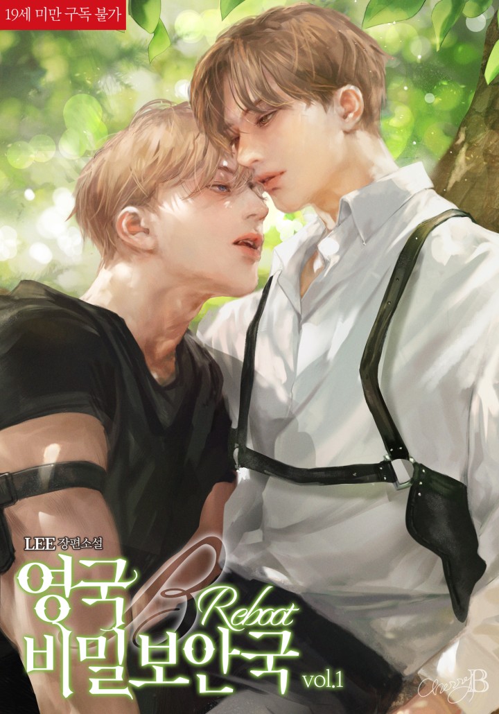 Yeongguk Bimil Boanguk Ributeu cover