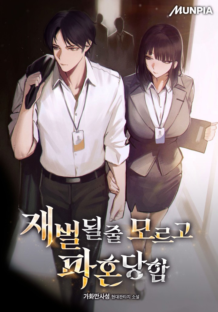 I Didn’t Know I Would Become a Chaebol and Got Broken Up cover