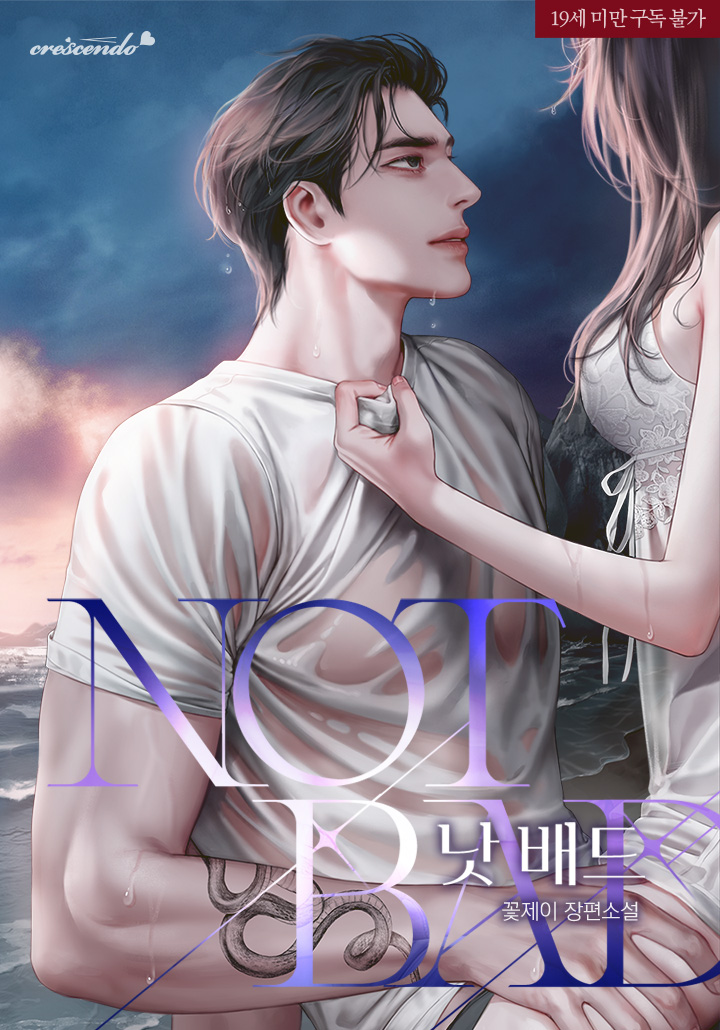 Not Bad cover