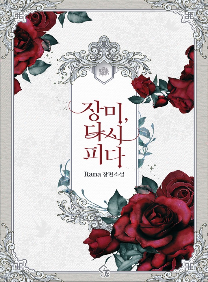 장미, 다시 피다