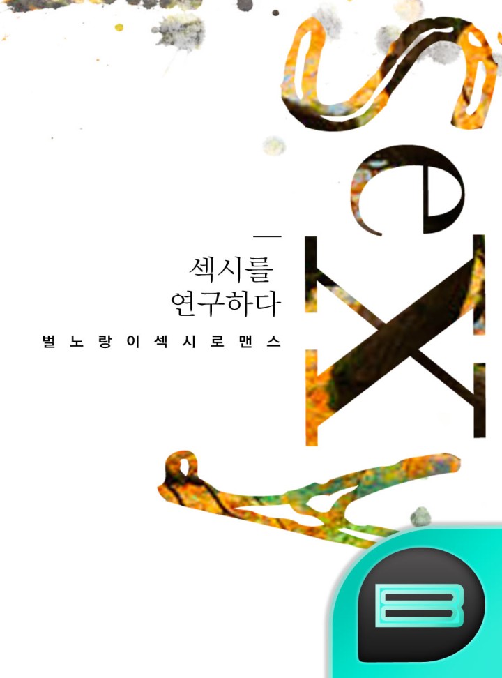 섹시를 연구하다