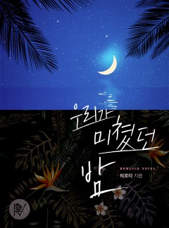 우리가 미쳤던 밤