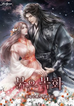 붉은 목화