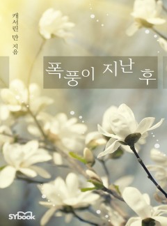 폭풍이 지난 후[할리퀸]
