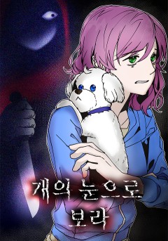 개의 눈으로 보라