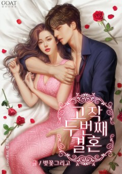 고작 두 번째 결혼