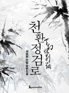 천환정검로