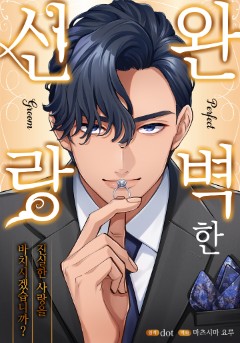 완벽한 신랑