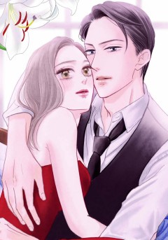 백마 탄 기사 컬렉션 [할리퀸]