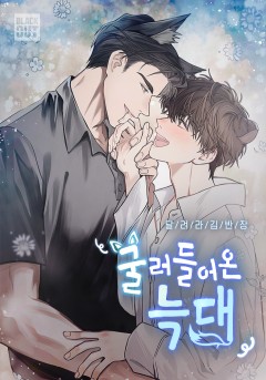 굴러들어온 늑대