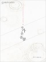 차가운 불꽃