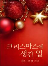 크리스마스에 생긴 일[할리퀸]