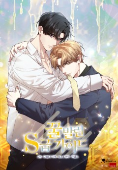 꿀 발린 S급 가이드 [19세 완전판]