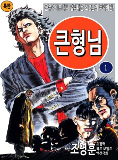 큰형님 [고화질, 완결]