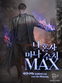 나 혼자 마나 수치 MAX