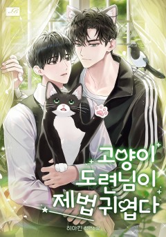 고양이 도련님이 제법 귀엽다