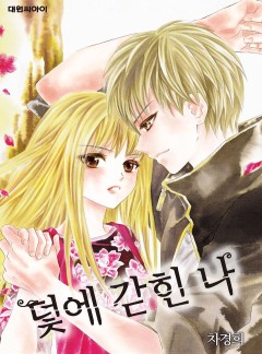 덫에 갇힌 나