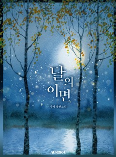 달의 이면