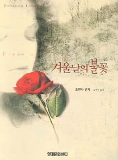 겨울날의 불꽃