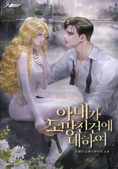 아내가 도망친 건에 대하여