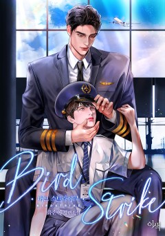 Bird Strike