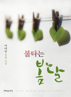 불타는 봄날