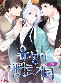 유성이 내리는 거리