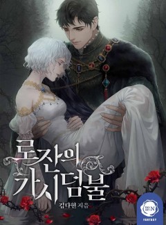 로잔의 가시덤불