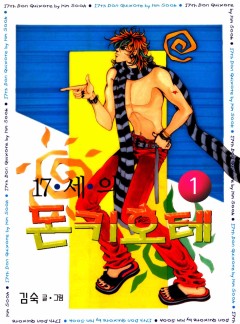 17세의 돈키호테
