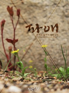 파애