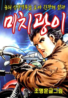 미치광이 [단행본]