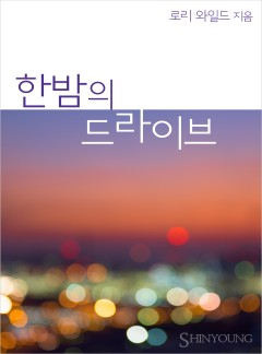 한밤의 드라이브 (Night Driving )