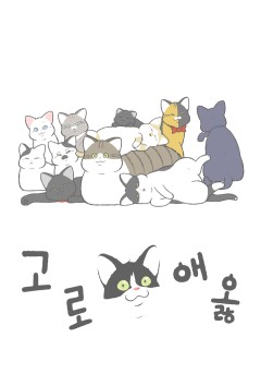 고로애옳