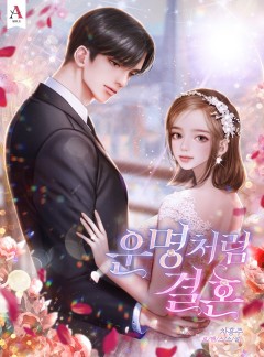 운명처럼 결혼