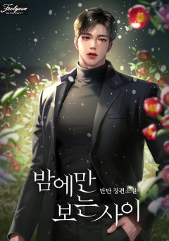 밤에만 보는 사이