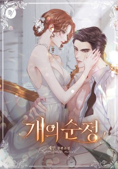 개의 순정
