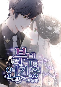 부부를 연기중입니다