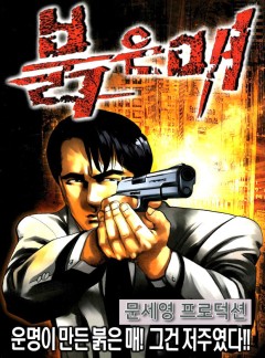 붉은매