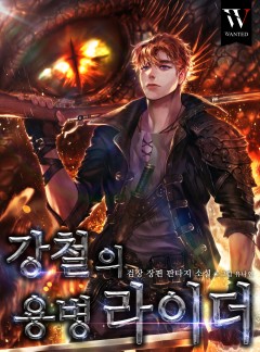 강철의 용병라이더