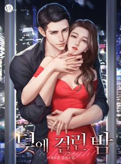 덫에 걸린 밤