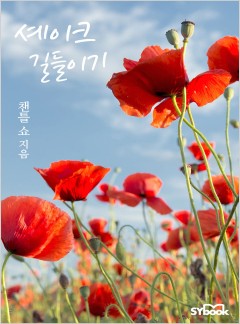 셰이크 길들이기 (Sheikh's Forbidden Conquest)