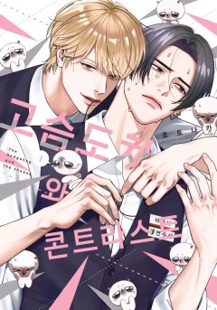 [솔트] 고슴도치와 콘트라스트