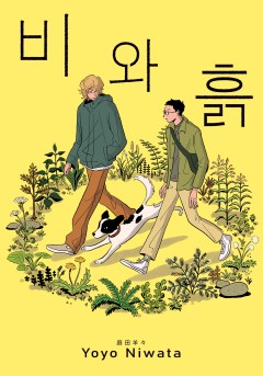비와 흙