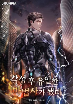 각성 후 유일한 마법사가 됐다
