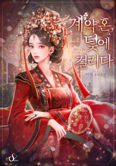 계약혼, 덫에 걸리다