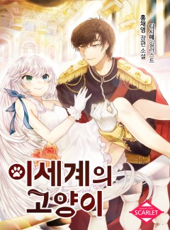 이세계의 고양이
