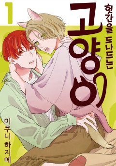 [BLovers] 헛간을 드나드는 고양이
