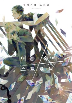 어둠 속에 스트로브 (신장판)