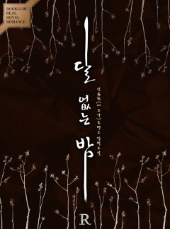 달 없는 밤