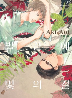 발끝에 빛의 길